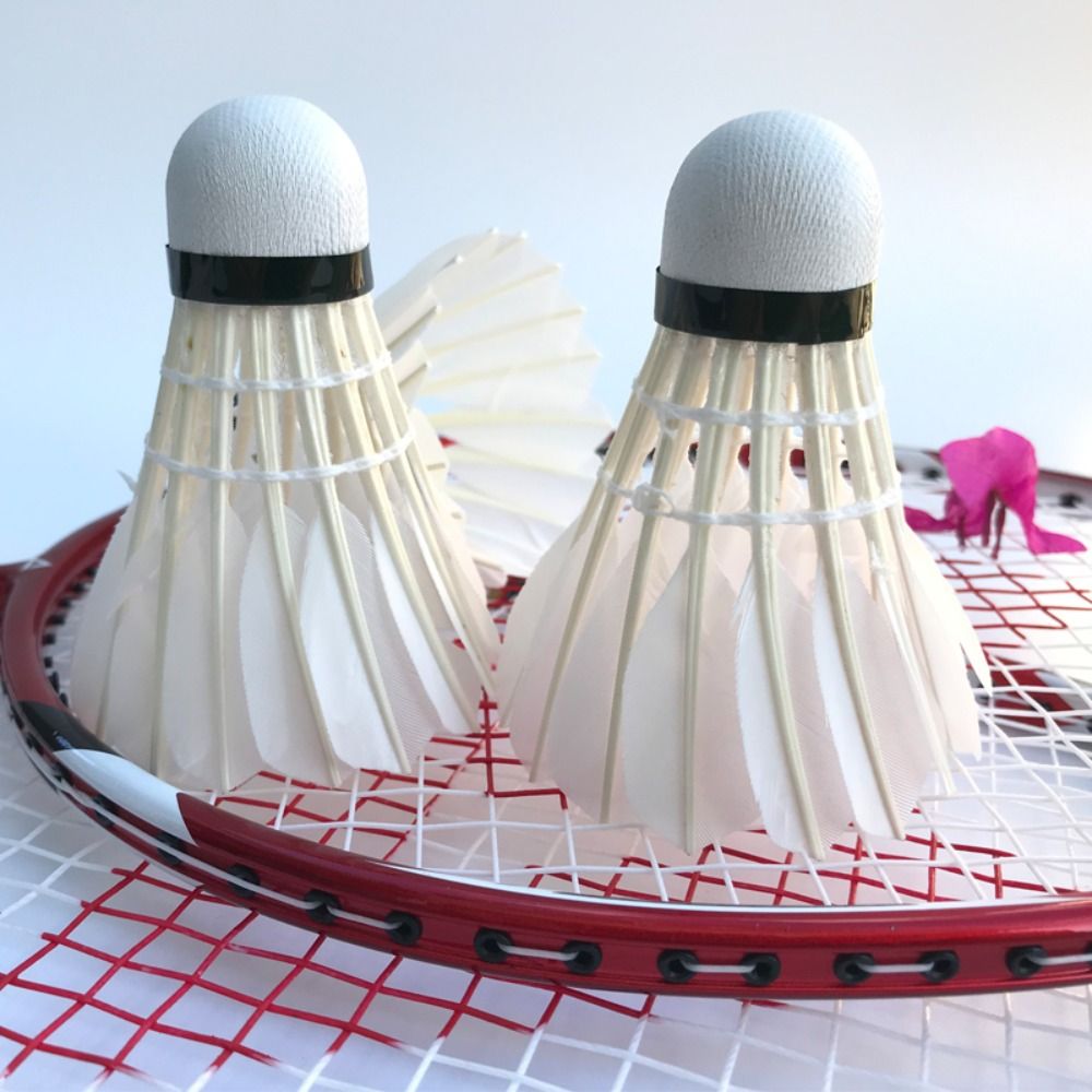 3/6/12Pcs New White Badminton  - Feather Shuttlecock recension och pris