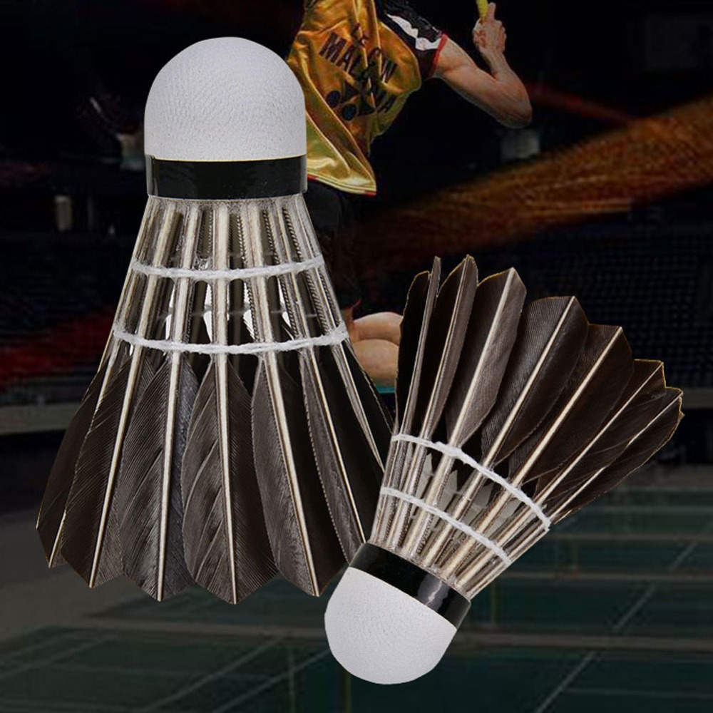 3/6/12Pcs Accessories Stable S - Feather Shuttlecock recension och pris
